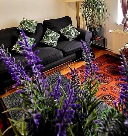 Bright Studio Close To Zaventem Airport Bruxelles Extérieur photo