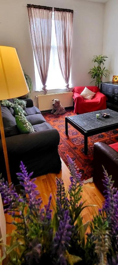 Bright Studio Close To Zaventem Airport Bruxelles Extérieur photo